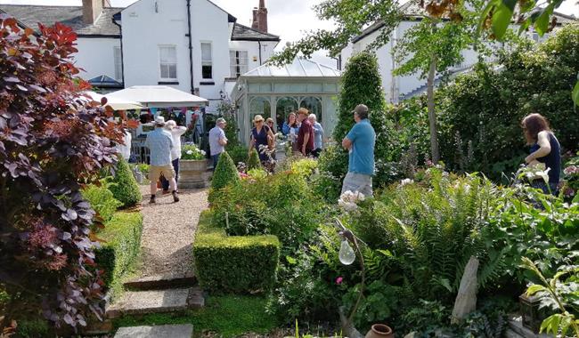 Alverstoke Garden Walkabout