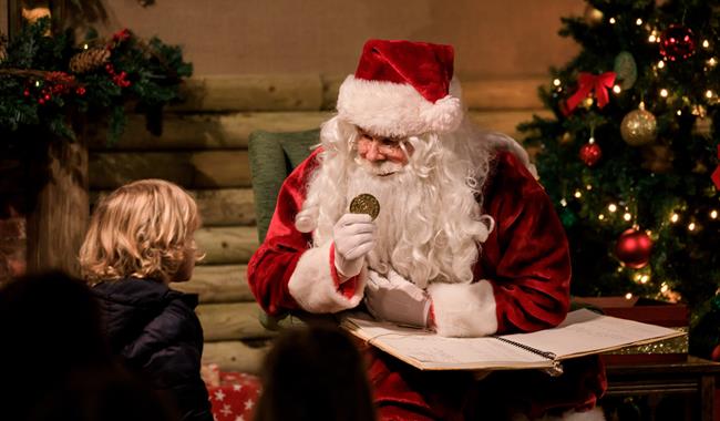 A Magical Christmas at Bocketts Farm