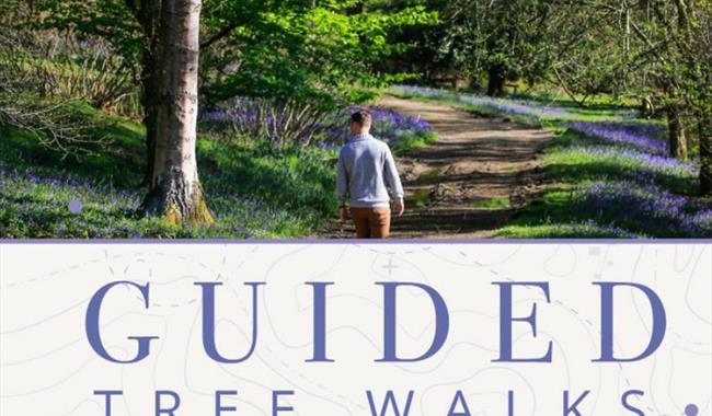 Guided Tree Walks