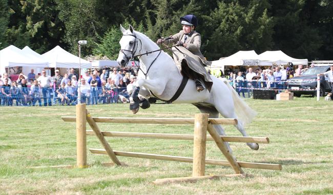 Hampshire Country Sports Day