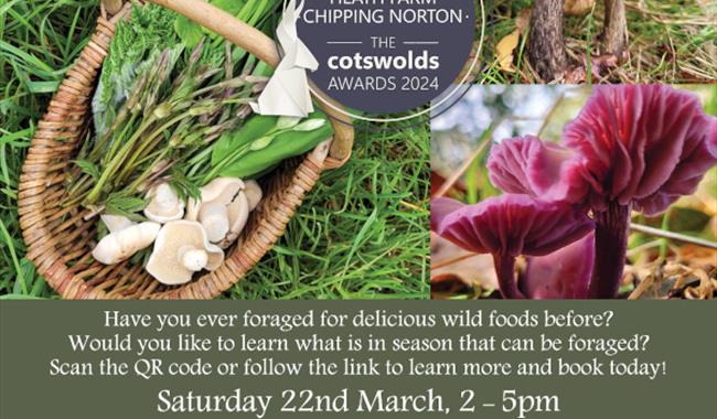 Foraging at Heath Farm