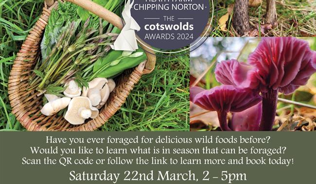 Foraging at Heath Farm