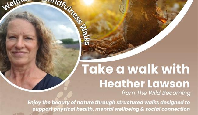 Wellness Walks poster