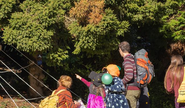 Halloween Trail