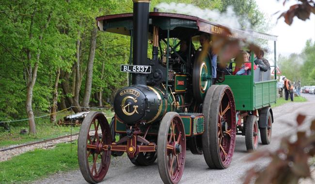 Halloween and Autumn Steam up