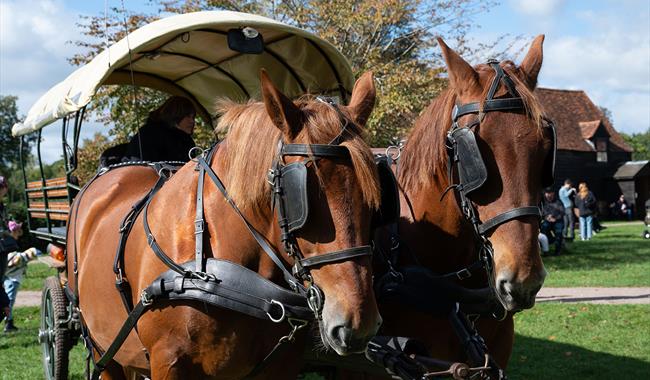Horse and Cart