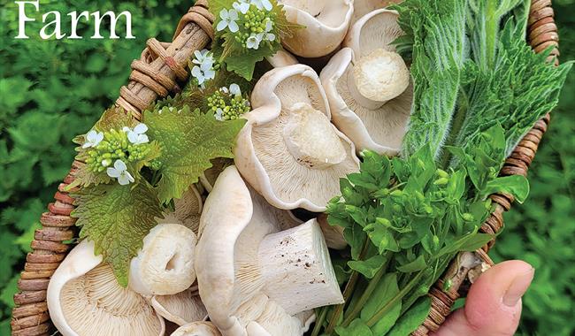 Wild Food Foraging Workshop at Heath Farm