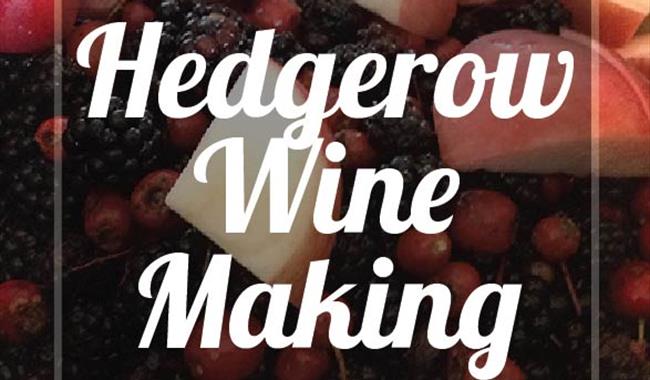 Wine Making Workshop