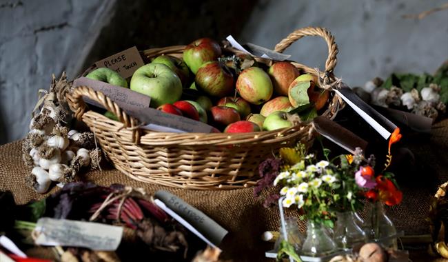 Hedgerows & Harvest at Weald & Downland Living Museum