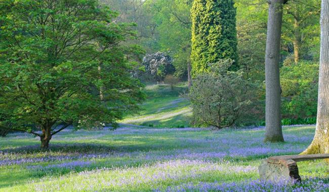 High Beeches Woodland and Water Garden