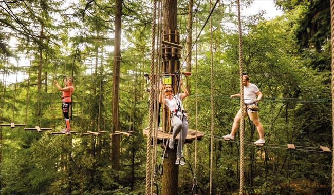Friends on a high ropes Go Ape course