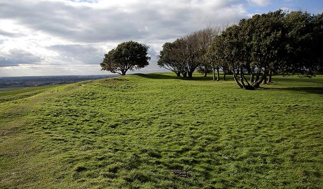 Guided Archaeology Walk: Highdown Hill with James Sainsbury