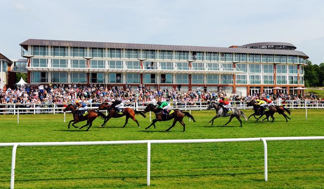 Lingfield Park Racecourse