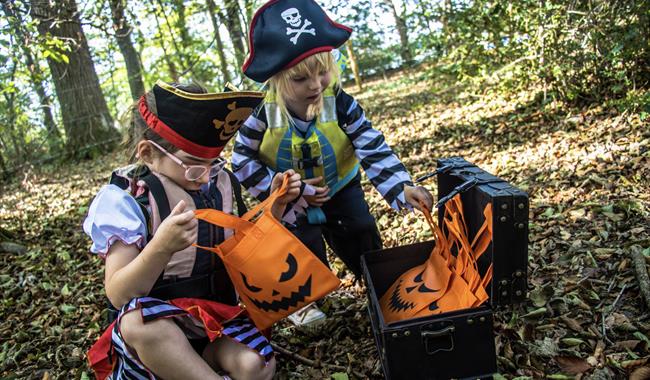 kids halloween candy hunts