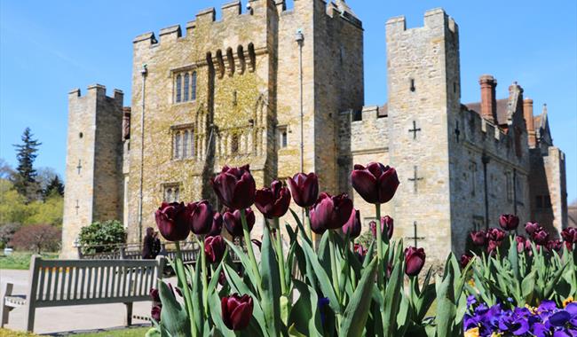 Tulip Celebrations at Hever Castle