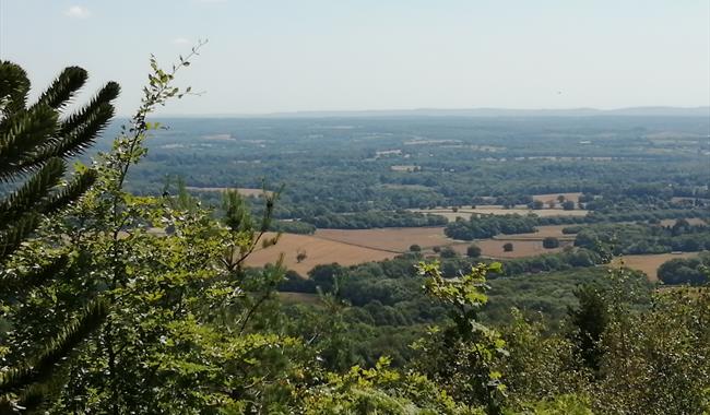 Leith Hill