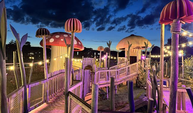 Illuminated Evenings 2025