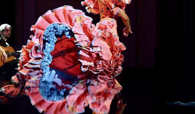 Rebeca Ortega Flamenco: Beyond Borders