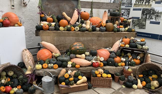 Autumn Festival at Waterperry Gardens, display of different pumpkins and squashs