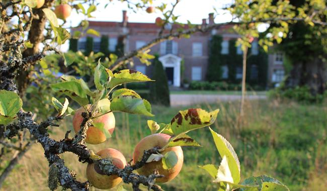 Apple Weekend with Sparsholt College