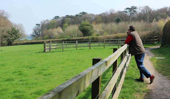 Man leaning on a fence overlooking green fields