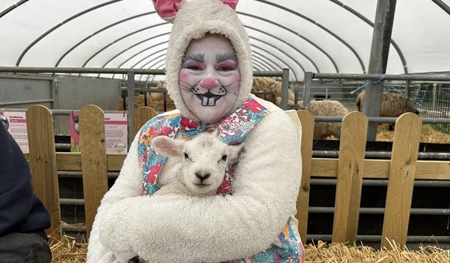 Noreen carrots easter character holding a lamb in the lambing tunnel