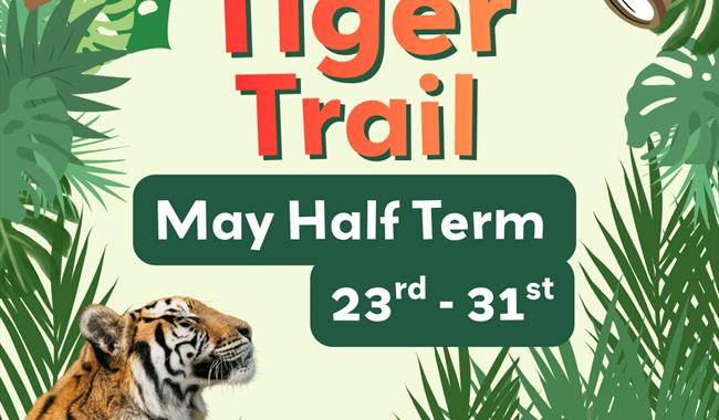 Tiger Activity Trail at Wildheart Animal Sanctuary, Isle of Wight