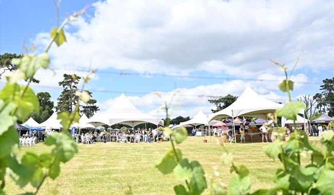 Thames Valley Food and Drink Festival