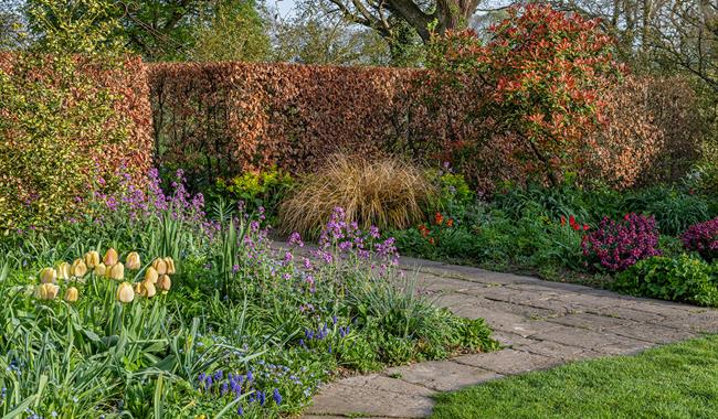 Pathway at Bates Green Garden