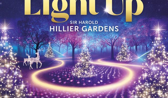 Light Up Sir Harold Hillier Gardens at Christmas