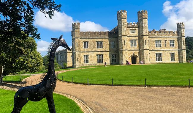Sculpture Safari