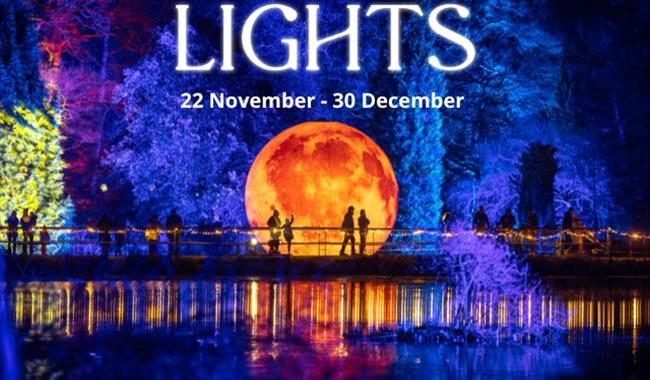Leonardslee Lights