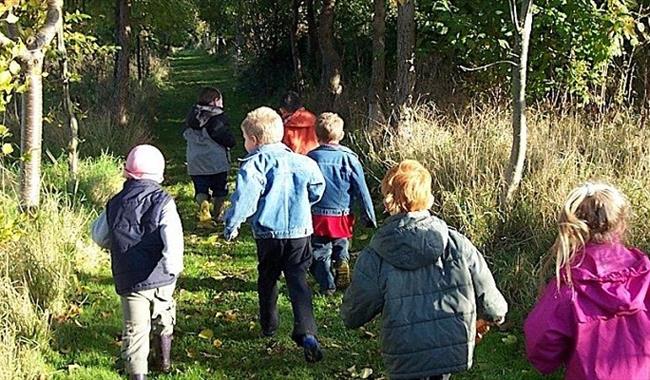 Little Acorn Explorers