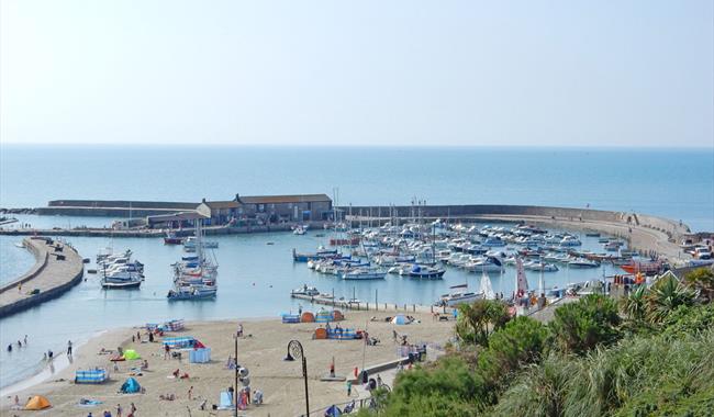 Curious About Lyme Regis - Quirky heritage walks for Curious People