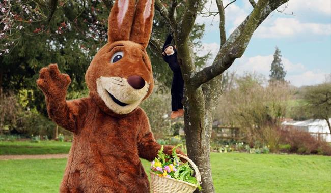 Easter Bunny