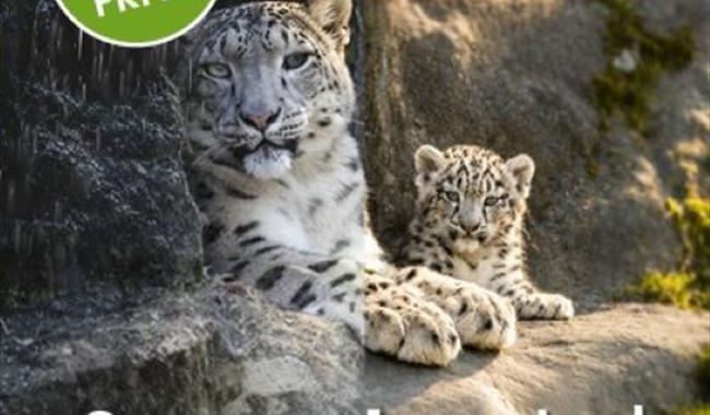 Summer offer at Marwell Zoo