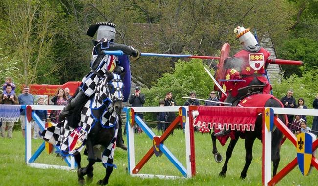 Knights jousting