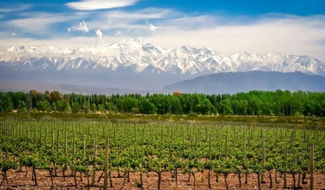 World of Wine: Discover South America!