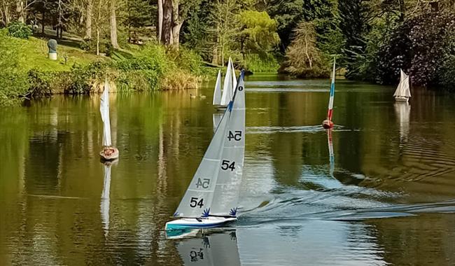 Model Boats on the Lake