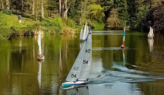 Model Boats on the Lake