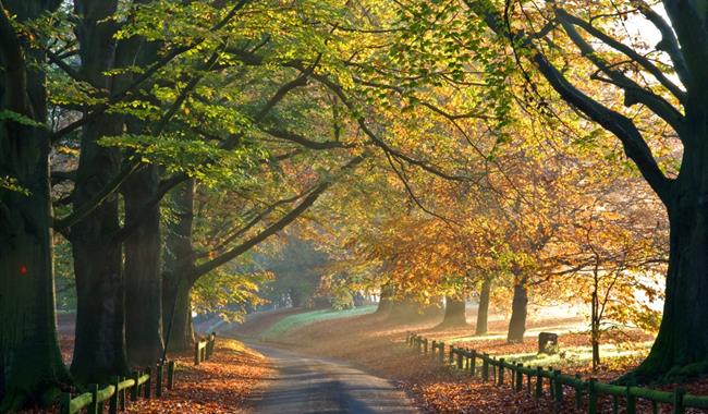 Autumn colours at the entrance to Mote Park in the heart of Maidstone, Kent.  Credit Maidstone Borough Council.