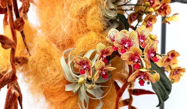 Floral art with orchids