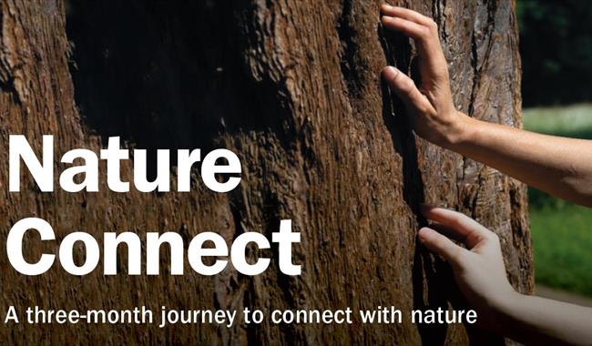Two hands reach out to touch the bark of a tree, white text over the top of the image reads'Nature Connect, A three month journey to connect with Natu