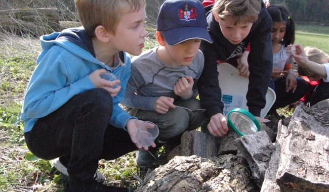 Nature Explorer Days