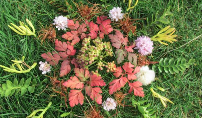 Mindful Walk & Nature Mandala