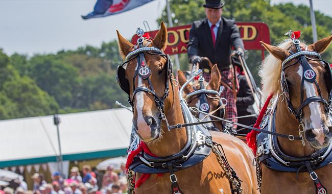 The New Forest and Hampshire County Show