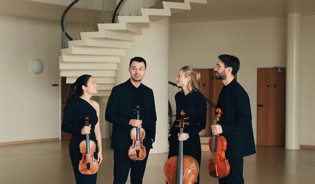 Novo String Quartet