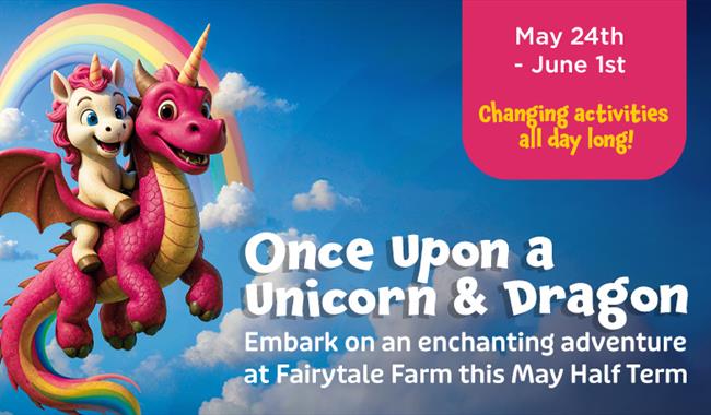 Once Upon a Unicorn