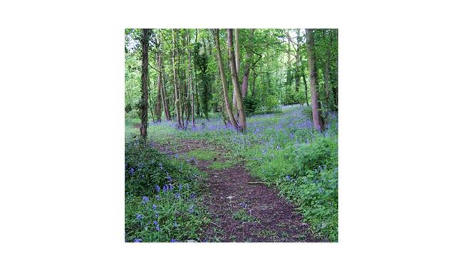 Oare Gunpowder Works County Park