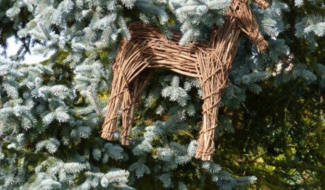 Santas reindeer hunt